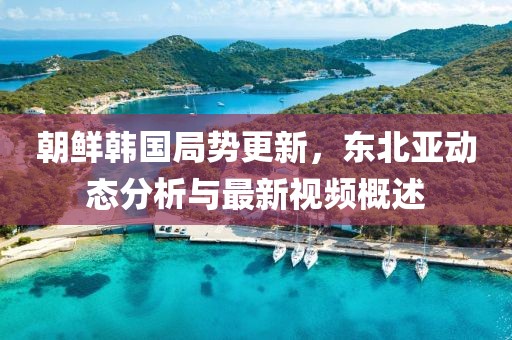 朝鲜韩国局势更新，东北亚动态分析与最新视频概述