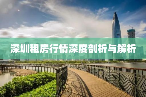 深圳租房行情深度剖析与解析