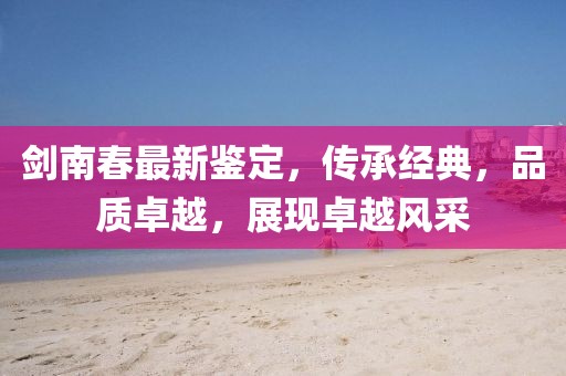 剑南春最新鉴定，传承经典，品质卓越，展现卓越风采