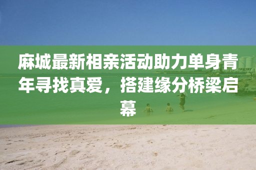 麻城最新相亲活动助力单身青年寻找真爱，搭建缘分桥梁启幕