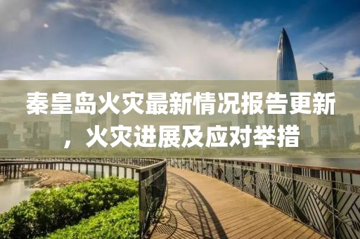 秦皇岛火灾最新情况报告更新，火灾进展及应对举措