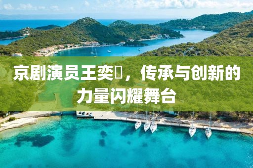京剧演员王奕謌，传承与创新的力量闪耀舞台