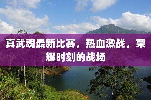 真武魂最新比赛，热血激战，荣耀时刻的战场