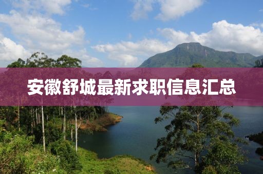 安徽舒城最新求职信息汇总