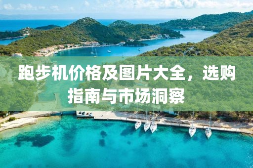 跑步机价格及图片大全，选购指南与市场洞察