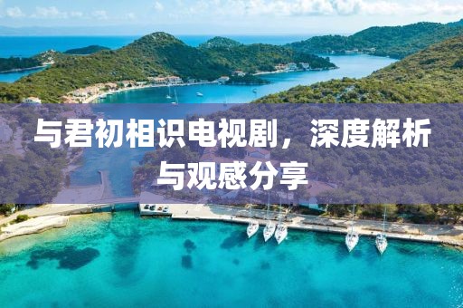 与君初相识电视剧，深度解析与观感分享