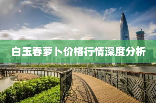 白玉春萝卜价格行情深度分析