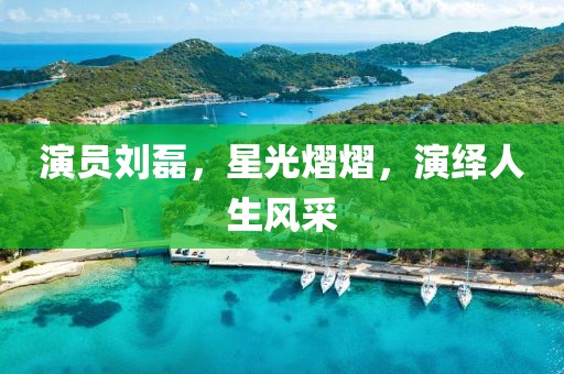 演员刘磊，星光熠熠，演绎人生风采