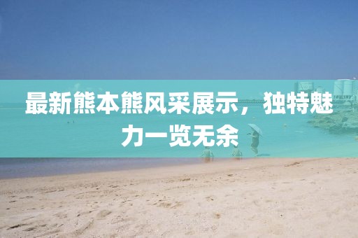 2024年12月 第13页