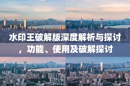 水印王破解版深度解析与探讨，功能、使用及破解探讨