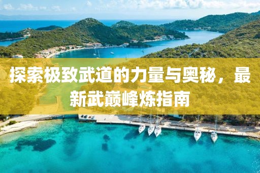 探索极致武道的力量与奥秘，最新武巅峰炼指南