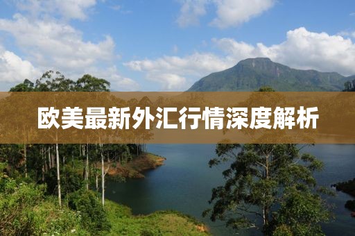 欧美最新外汇行情深度解析