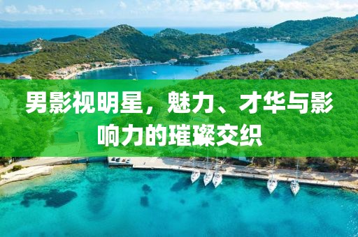 男影视明星，魅力、才华与影响力的璀璨交织