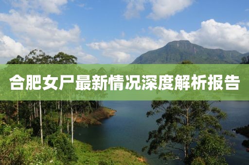 合肥女尸最新情况深度解析报告