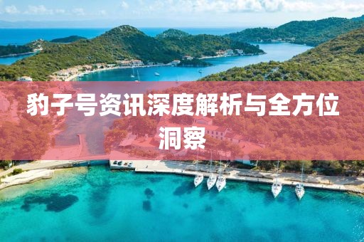 豹子号资讯深度解析与全方位洞察
