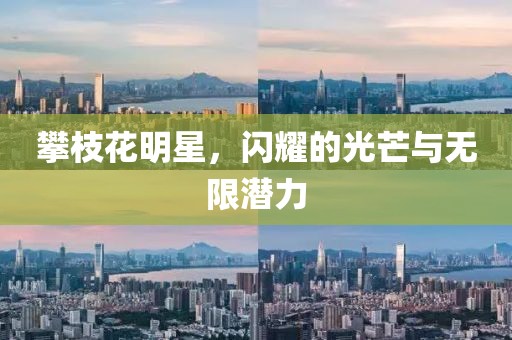 攀枝花明星，闪耀的光芒与无限潜力