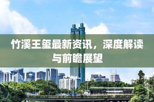 竹溪王玺最新资讯，深度解读与前瞻展望
