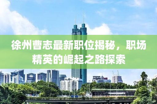 徐州曹志最新职位揭秘，职场精英的崛起之路探索