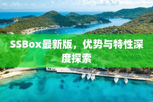 SSBox最新版，优势与特性深度探索