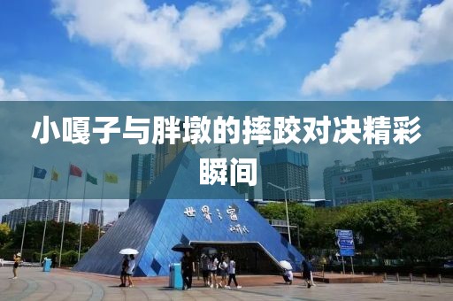 小嘎子与胖墩的摔跤对决精彩瞬间