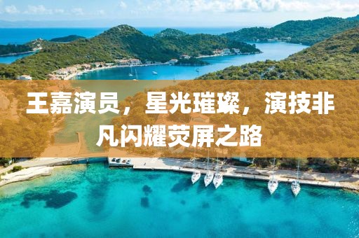 王嘉演员，星光璀璨，演技非凡闪耀荧屏之路