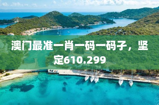 澳门最准一肖一码一码孑，坚定610.299