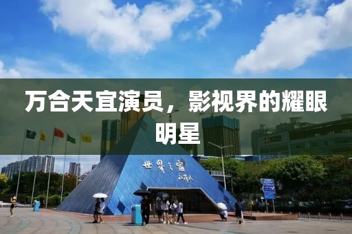 万合天宜演员，影视界的耀眼明星