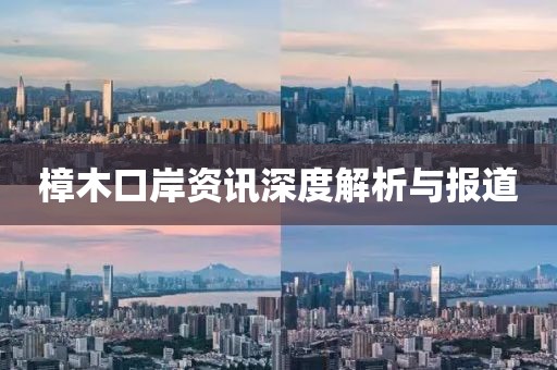 樟木口岸资讯深度解析与报道