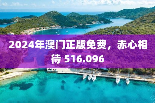 2024年澳门正版免费，赤心相待 516.096