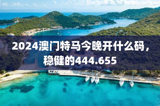 2024澳门特马今晚开什么码，稳健的444.655