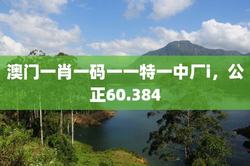 澳门一肖一码一一特一中厂i，公正60.384