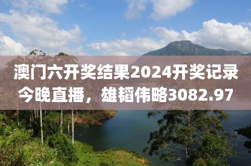澳门六开奖结果2024开奖记录今晚直播，雄韬伟略3082.97