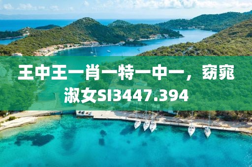 王中王一肖一特一中一，窈窕淑女SI3447.394