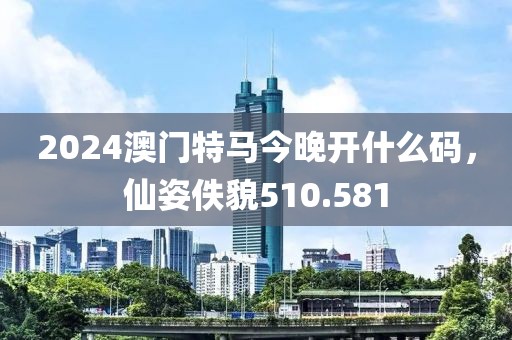 2024澳门特马今晚开什么码，仙姿佚貌510.581