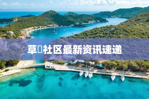 草塯社区最新资讯速递