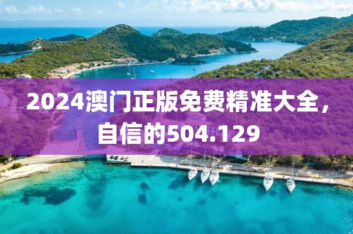 2024澳门正版免费精准大全，自信的504.129