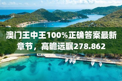 澳门王中王100%正确答案最新章节，高瞻远瞩278.862
