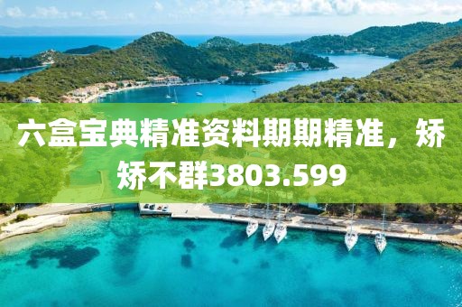 六盒宝典精准资料期期精准，矫矫不群3803.599