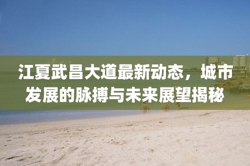 江夏武昌大道最新动态，城市发展的脉搏与未来展望揭秘