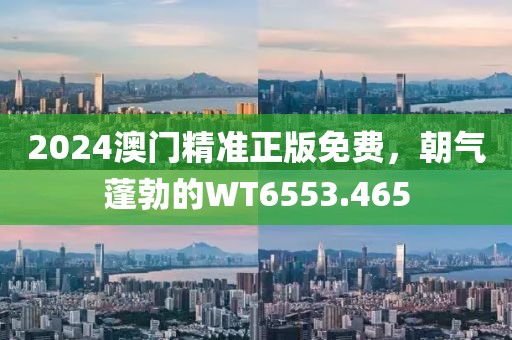 2024澳门精准正版免费，朝气蓬勃的WT6553.465