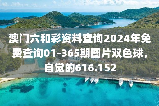 澳门六和彩资料查询2024年免费查询01-365期图片双色球，自觉的616.152