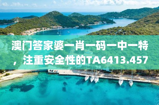 澳门答家婆一肖一码一中一特，注重安全性的TA6413.457