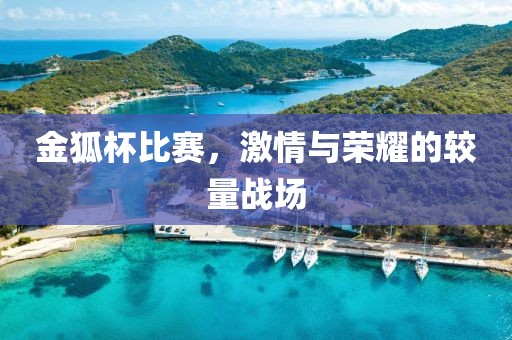 金狐杯比赛，激情与荣耀的较量战场