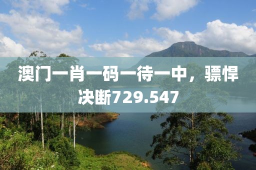 澳门一肖一码一待一中，骠悍决断729.547