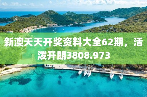 新澳天天开奖资料大全62期，活泼开朗3808.973