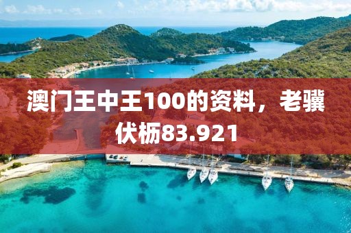 澳门王中王100的资料，老骥伏枥83.921