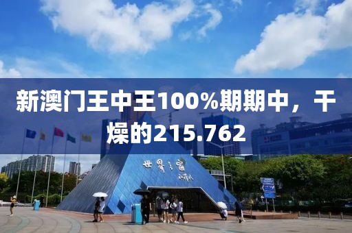 新澳门王中王100%期期中，干燥的215.762