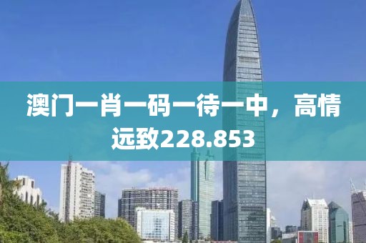 澳门一肖一码一待一中，高情远致228.853