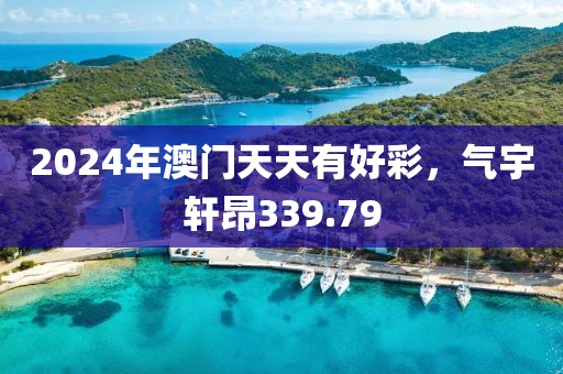 2024年澳门天天有好彩，气宇轩昂339.79