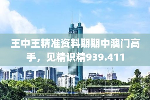 王中王精准资料期期中澳门高手，见精识精939.411